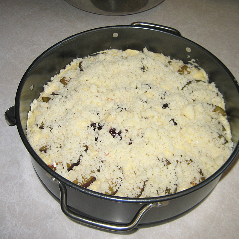 Cherry-&-Plum-Cake-with-streusel topping