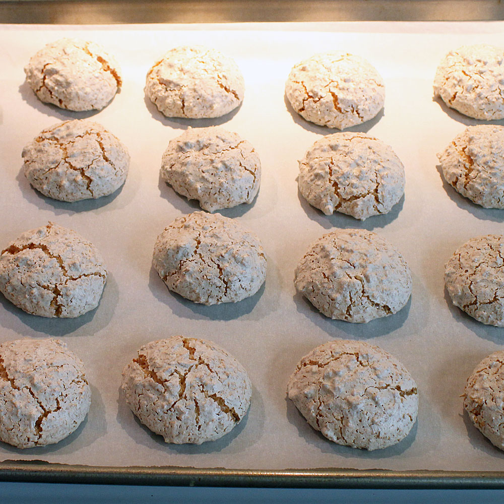 coconut meringue cookies